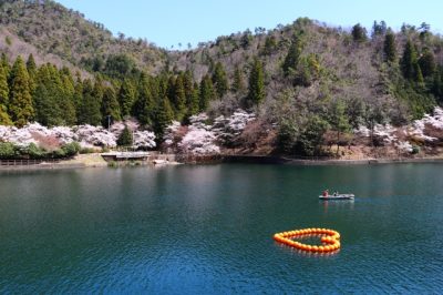 伊自良湖　ゆっくり散策 | 観光タクシー