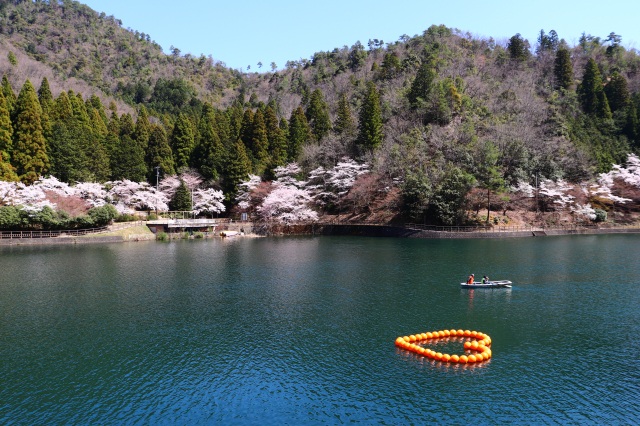 伊自良湖　ゆっくり散策 | 観光タクシー